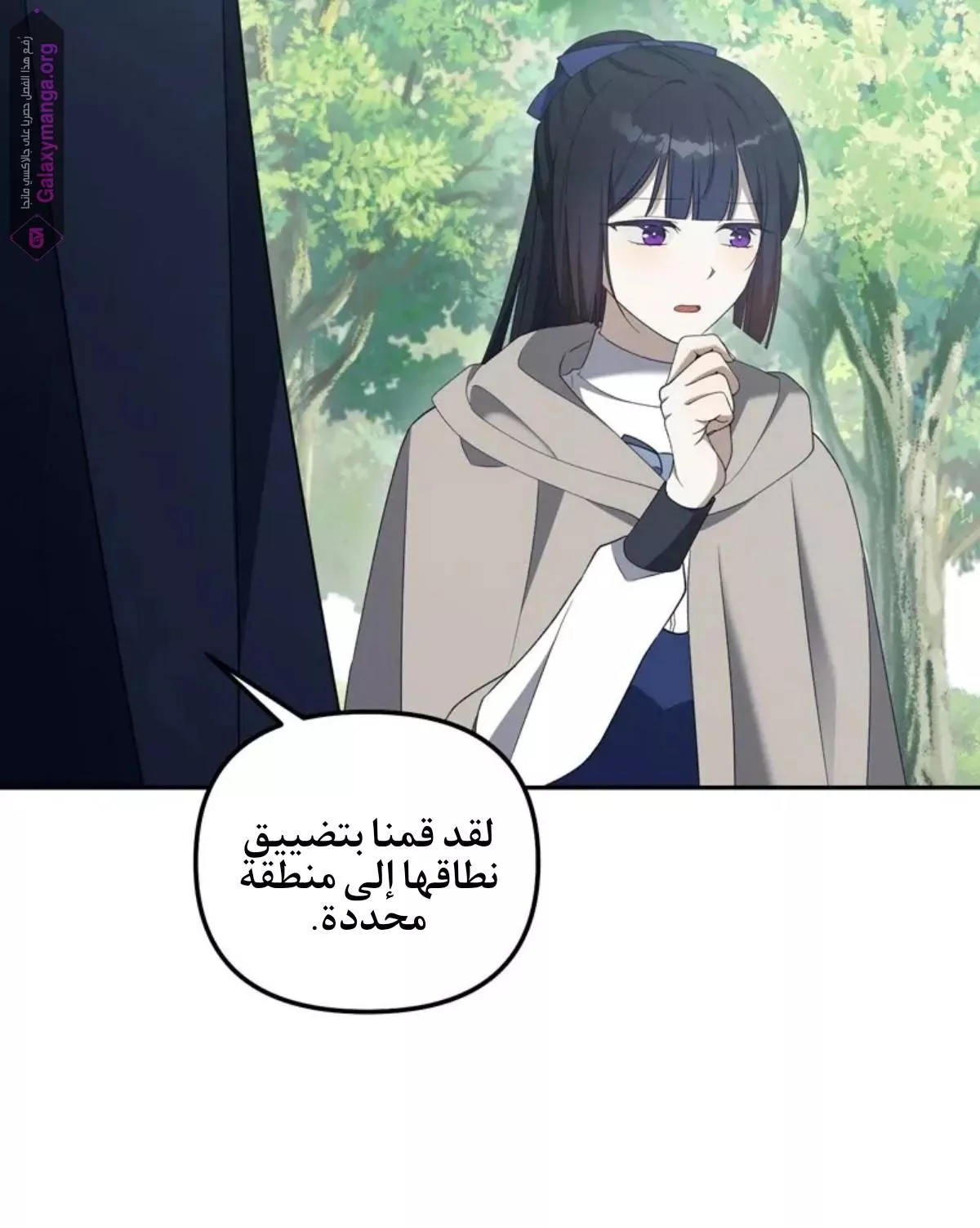 الصفحة 41