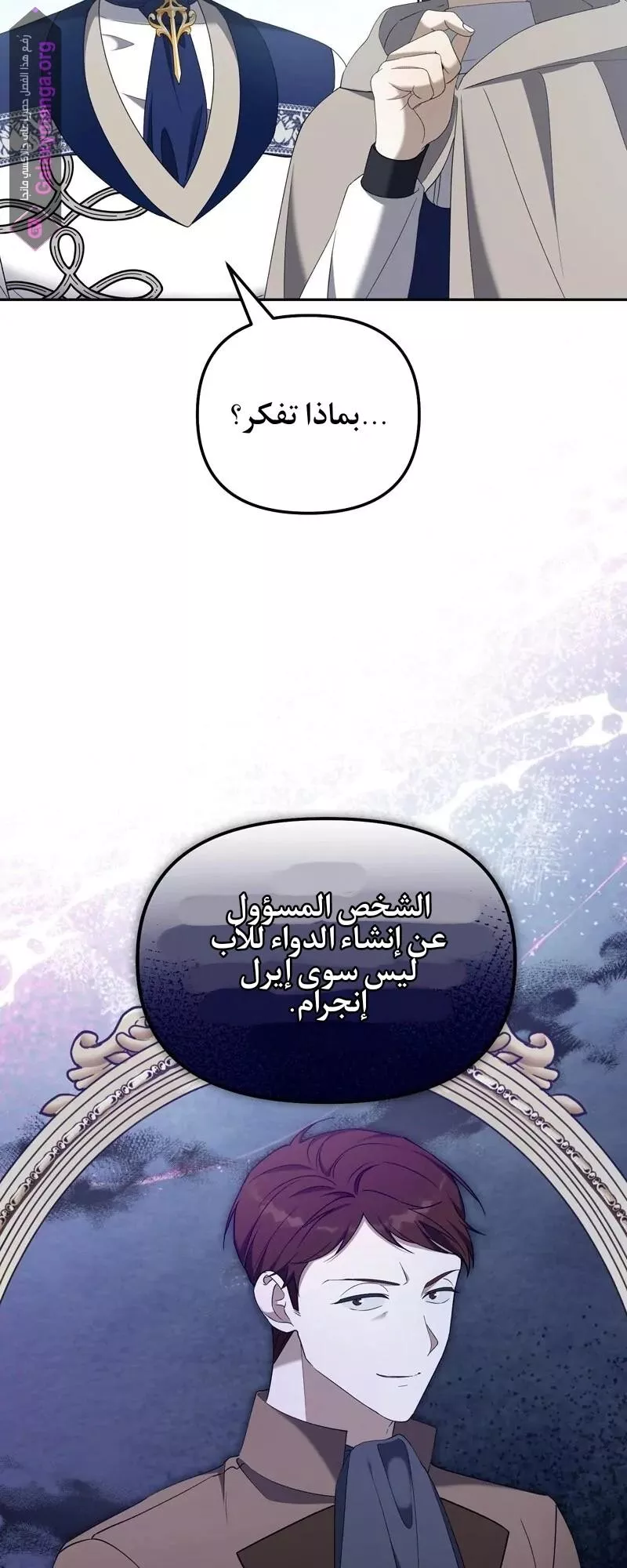 الصفحة 43