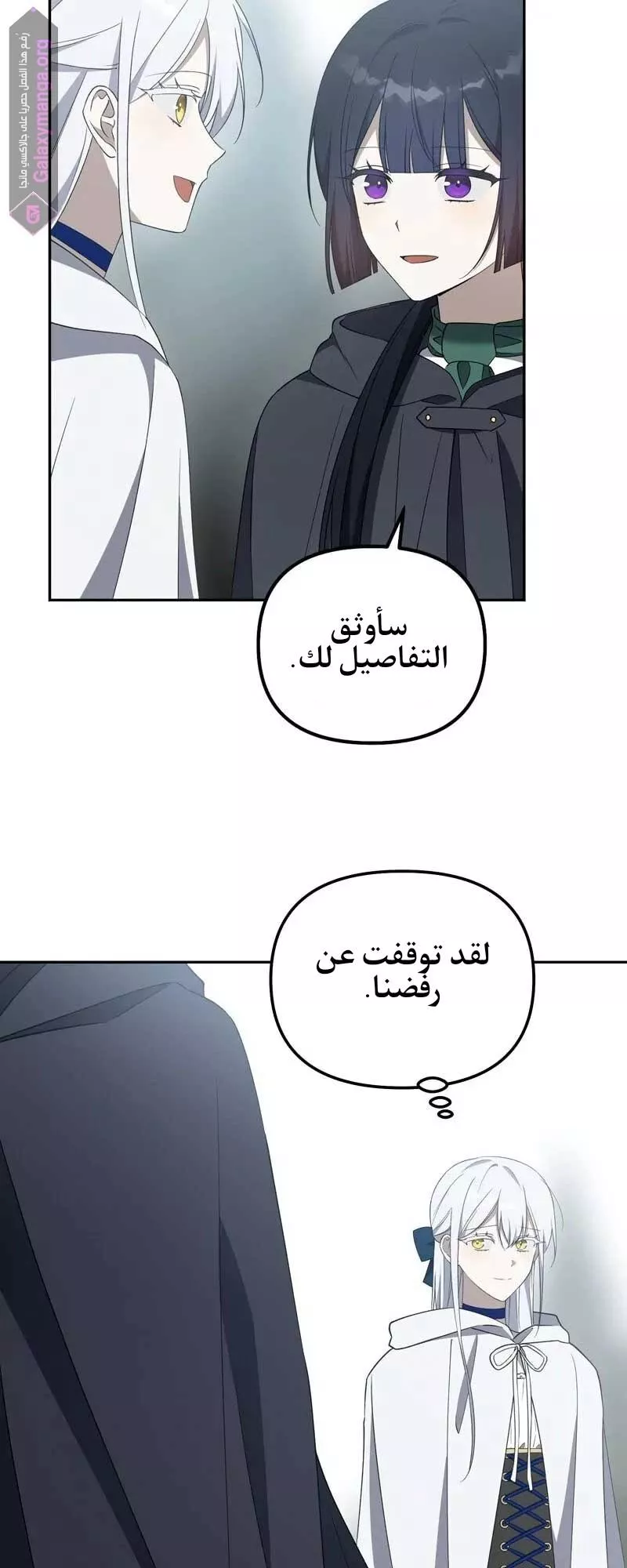 الصفحة 13