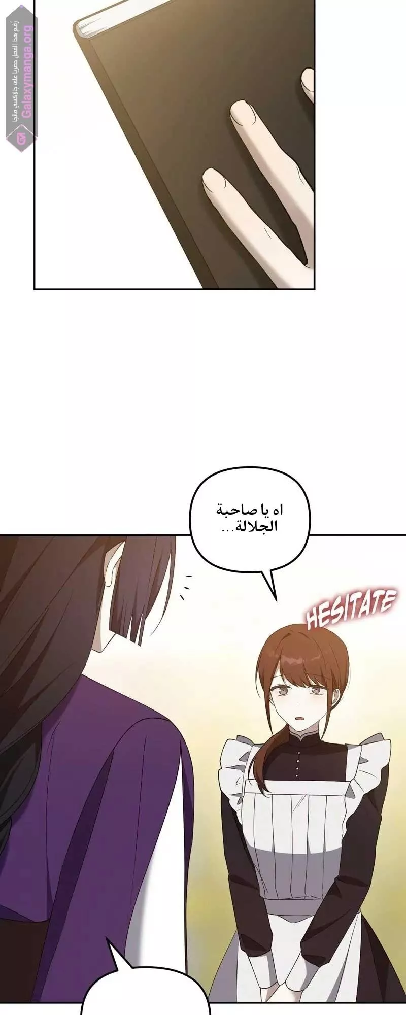 الصفحة 17