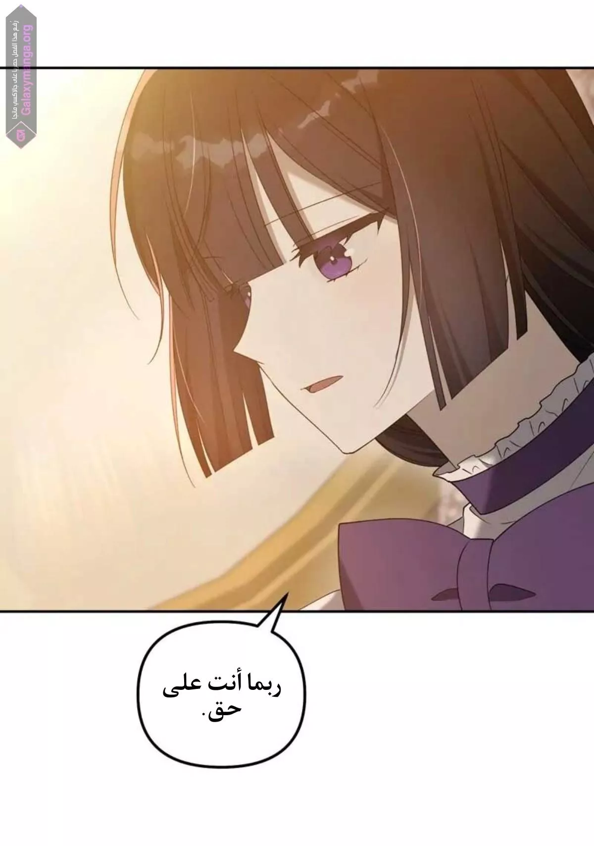 الصفحة 29