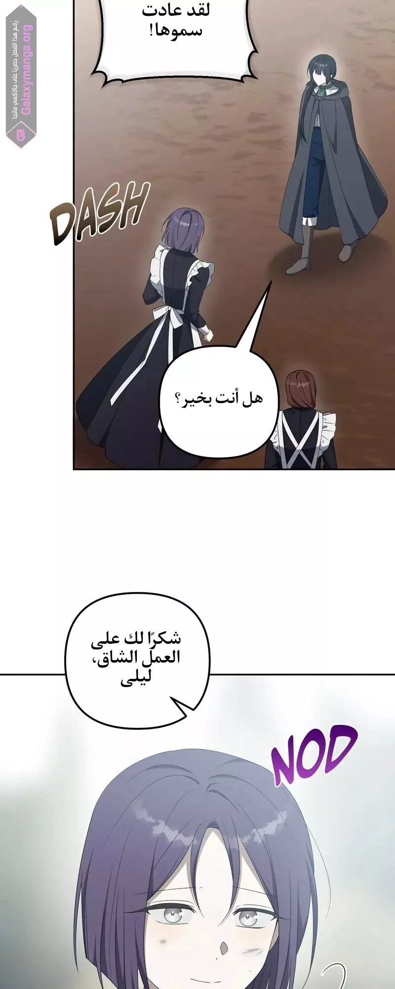 الصفحة 13