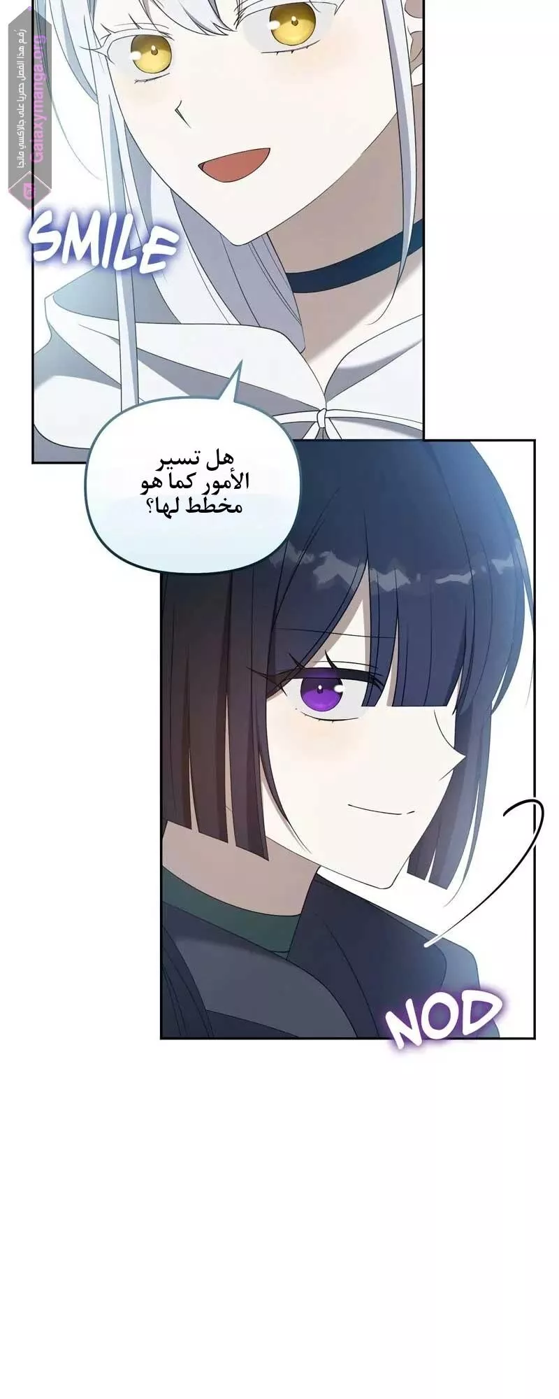 الصفحة 17