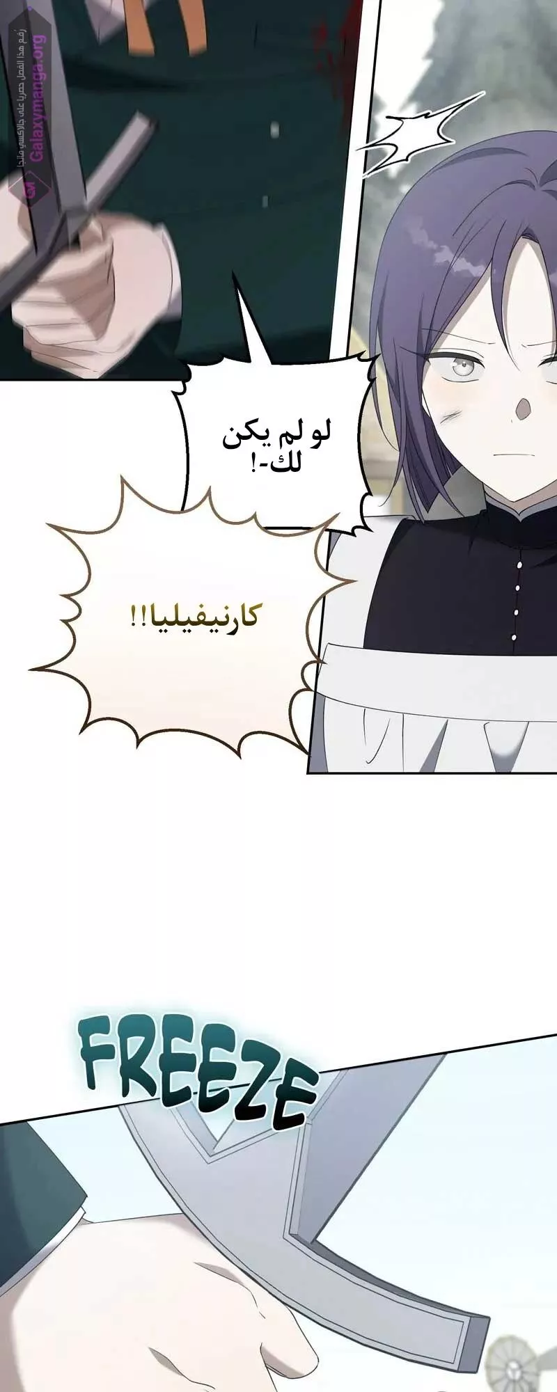 الصفحة 24
