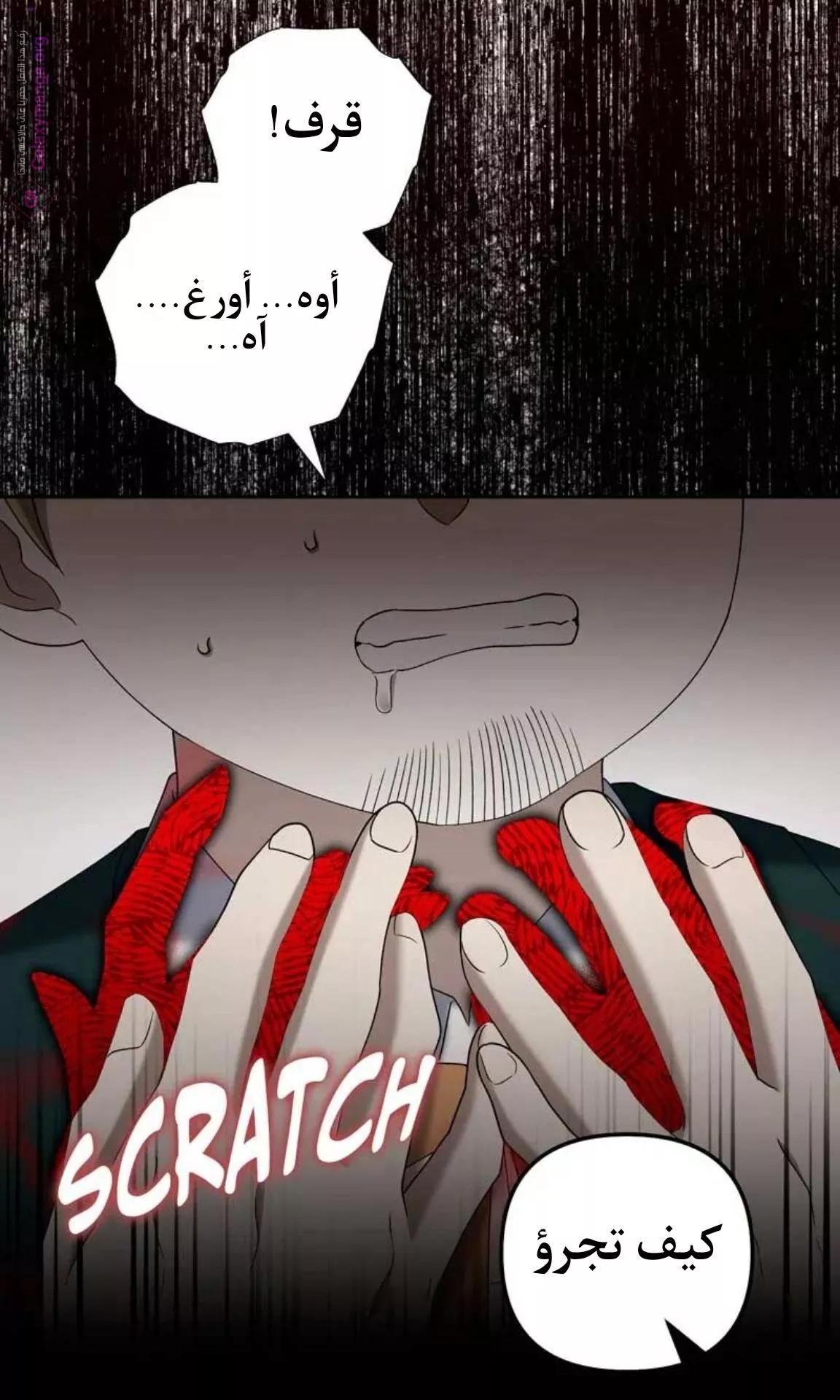 الصفحة 35