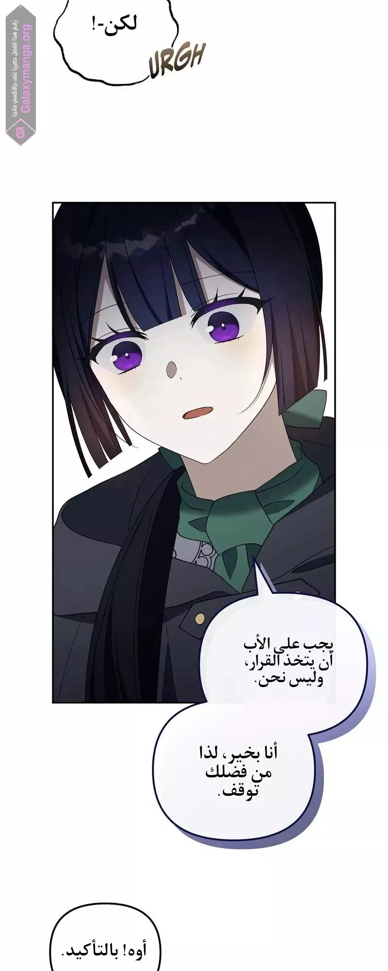 الصفحة 38