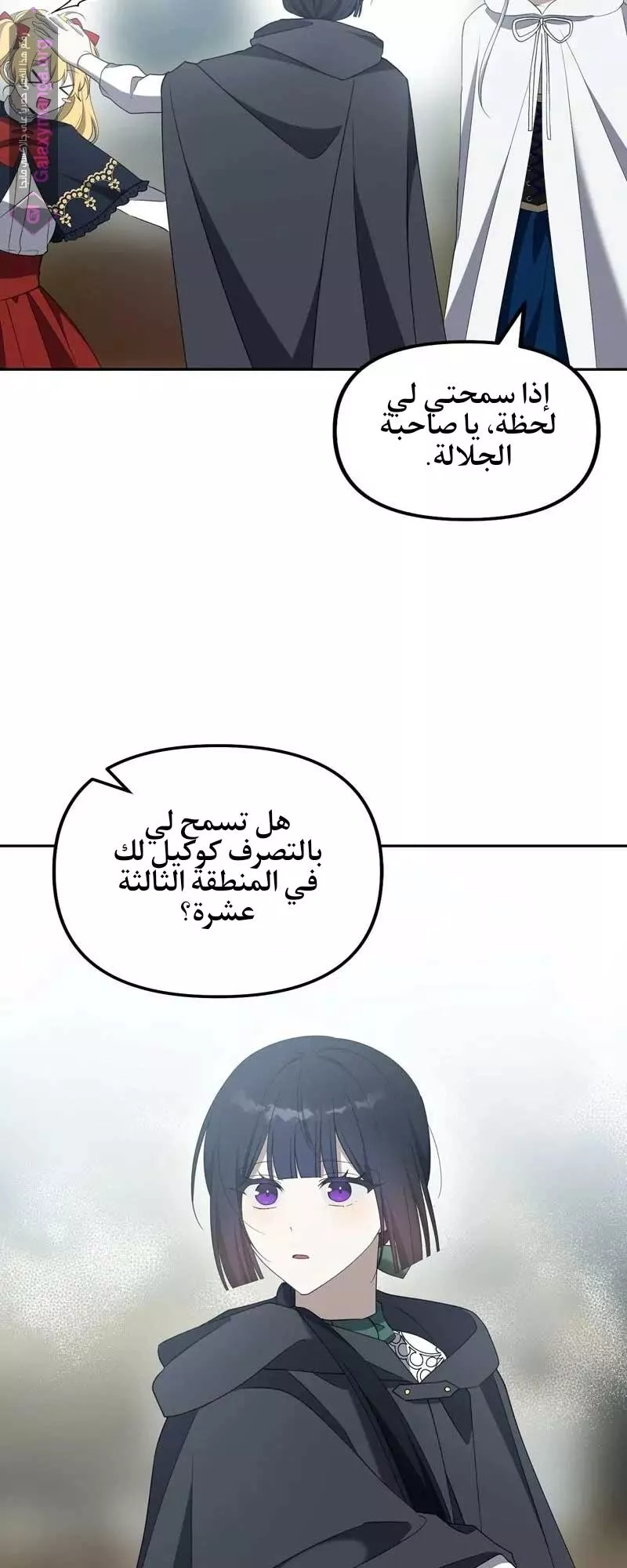 الصفحة 47