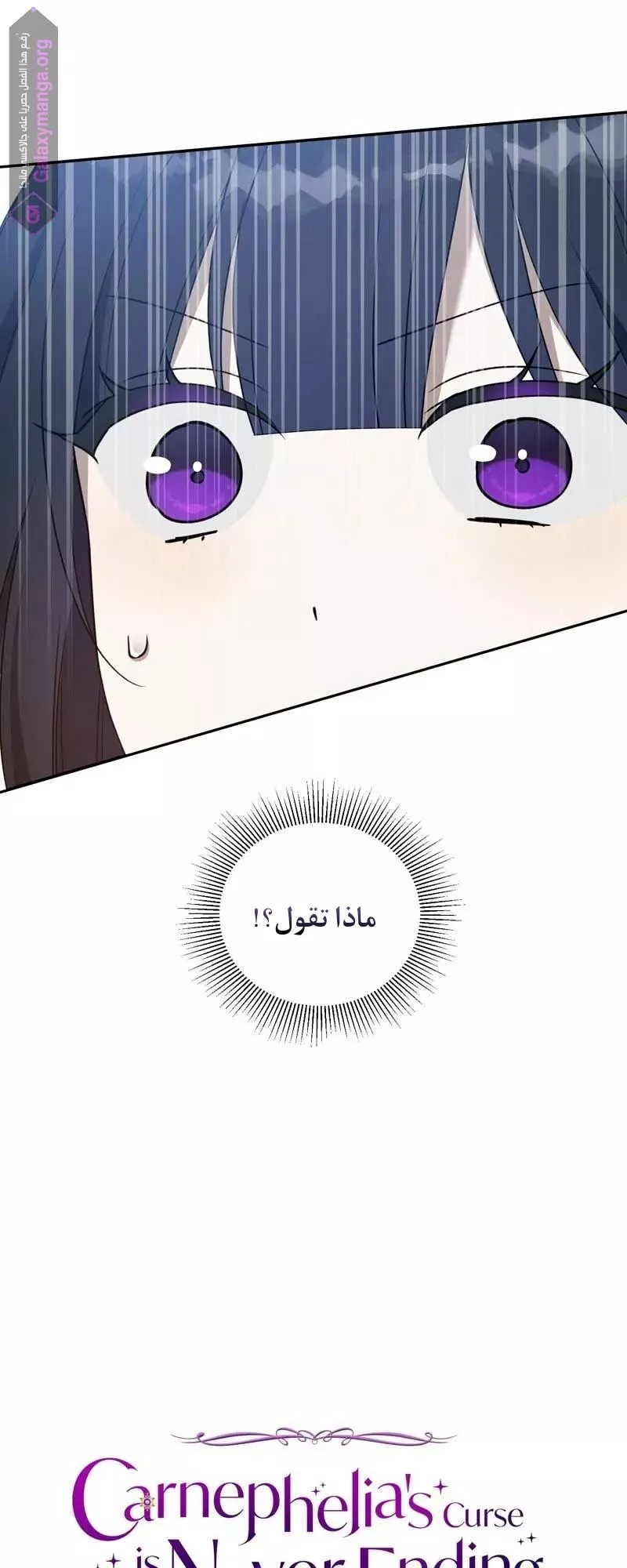 الصفحة 54
