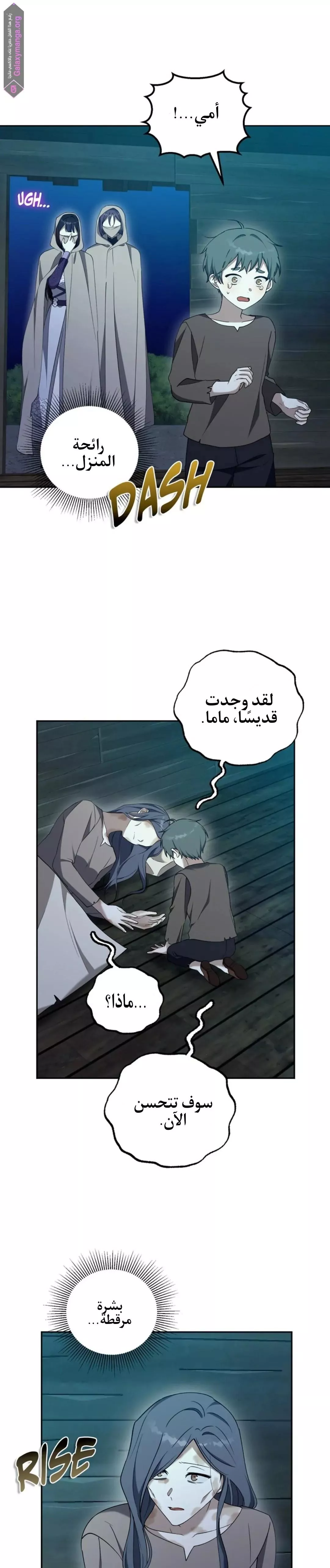 الصفحة 21