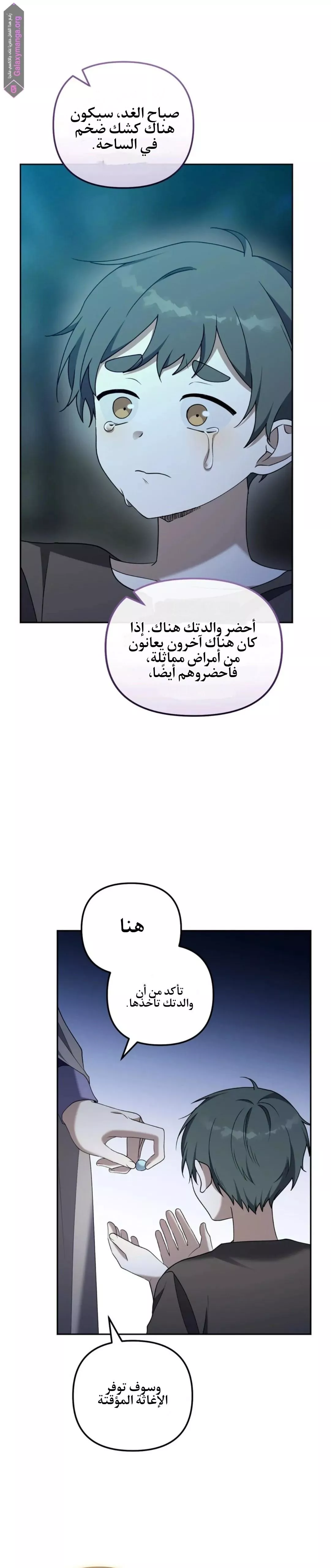 الصفحة 24