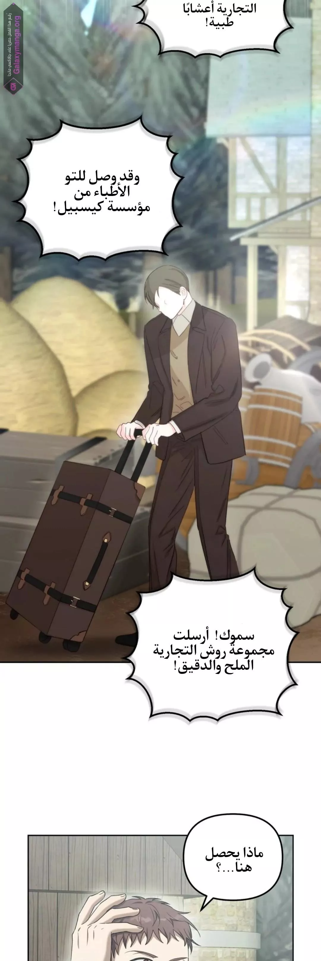 الصفحة 28