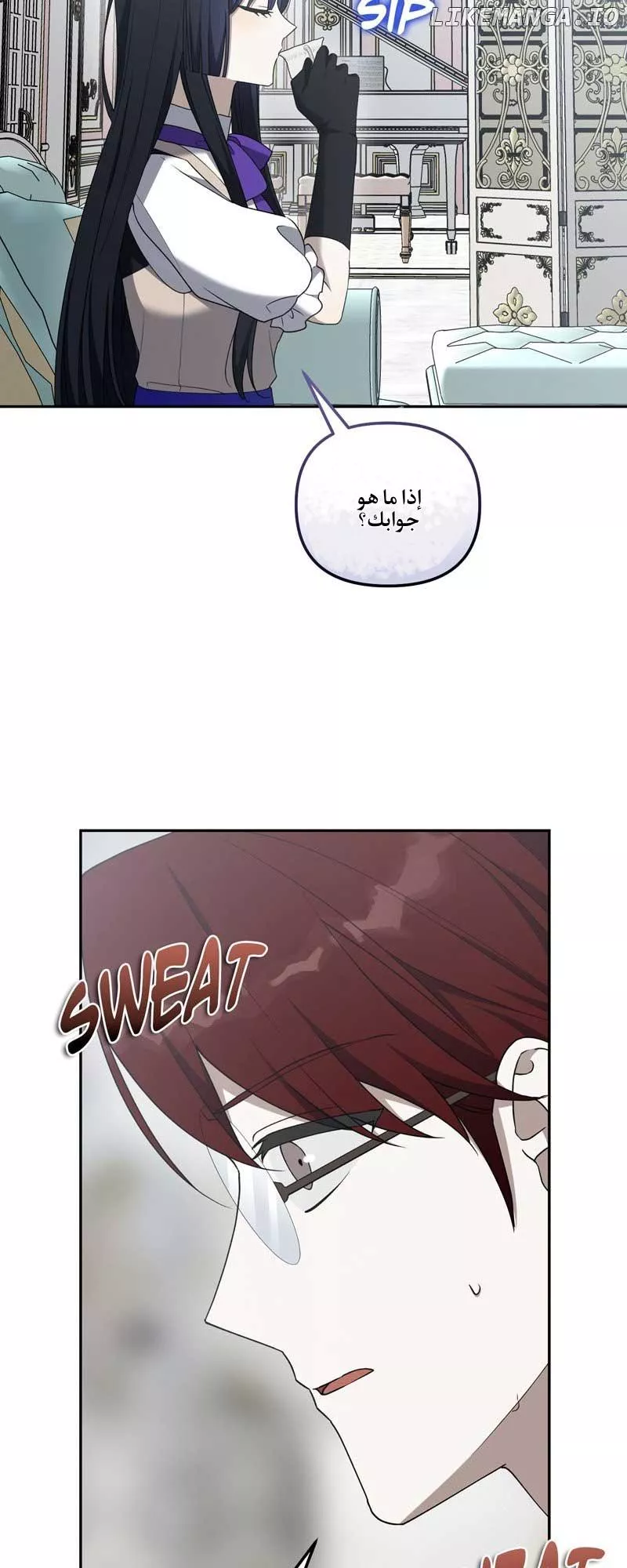 الصفحة 12