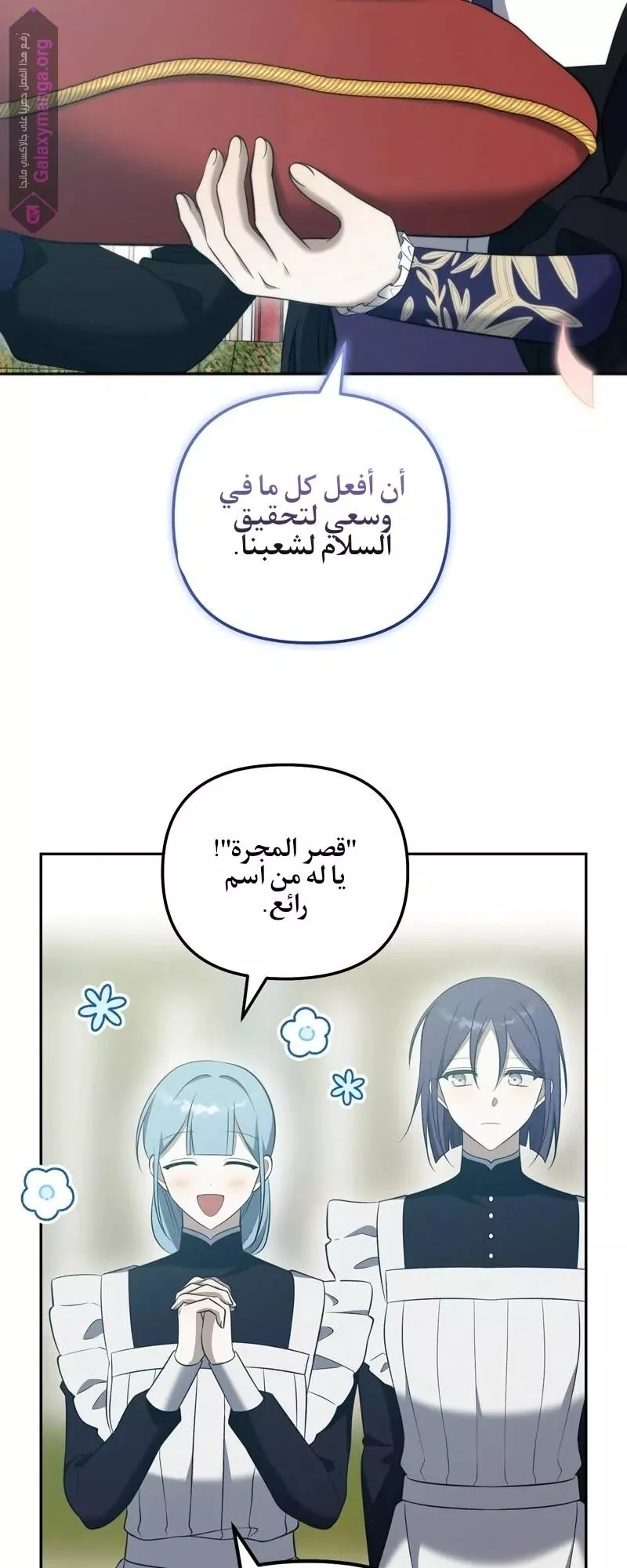 الصفحة 21