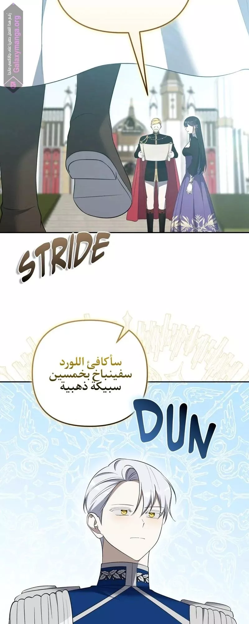 الصفحة 28