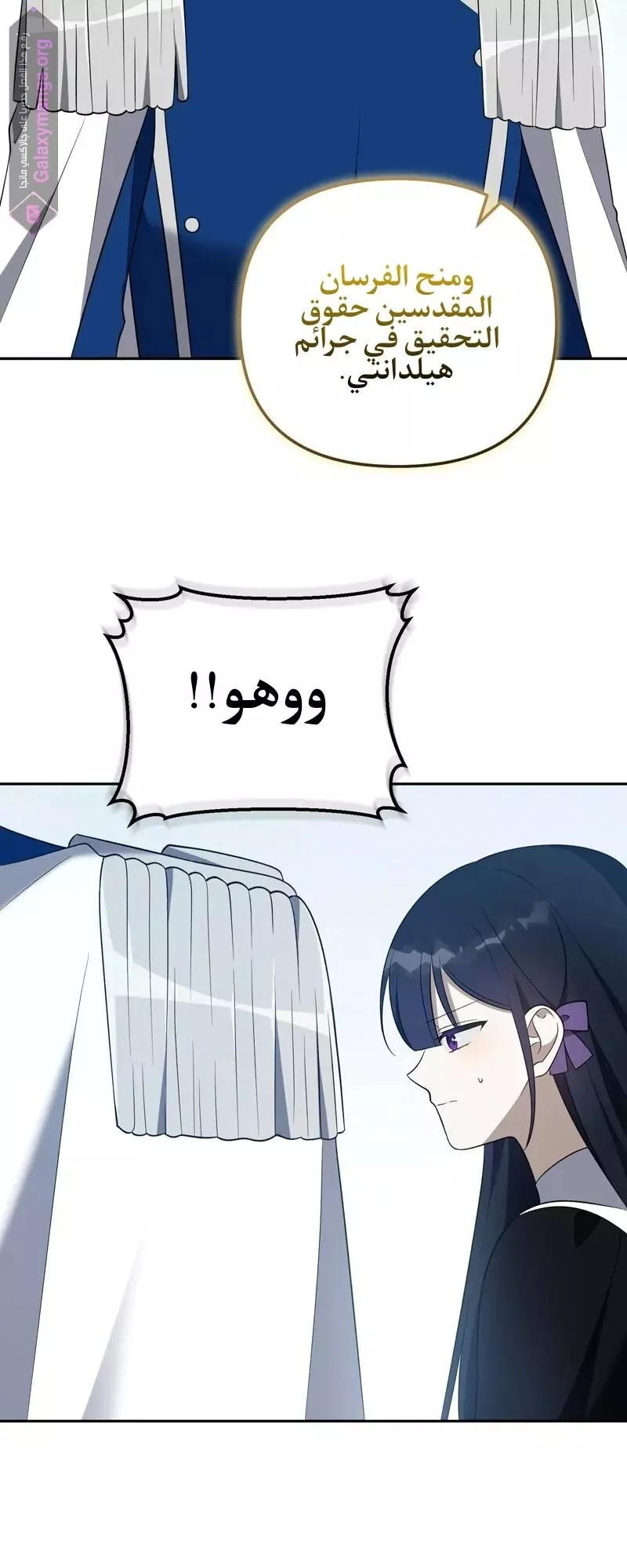 الصفحة 29