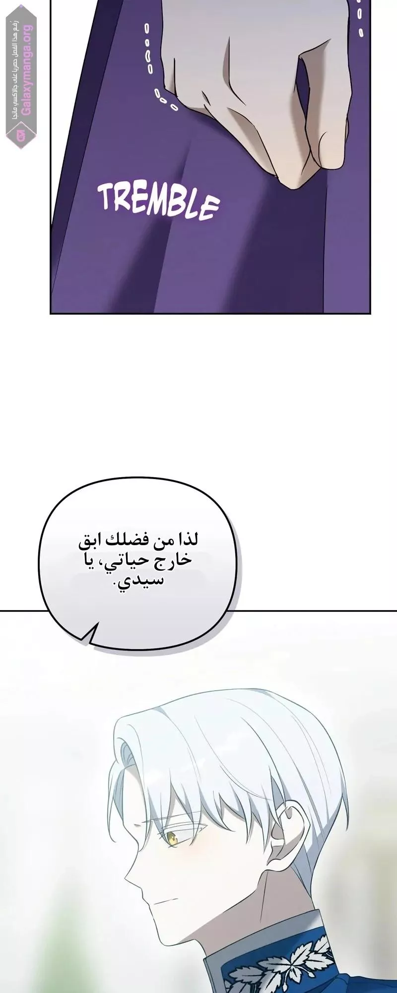 الصفحة 41