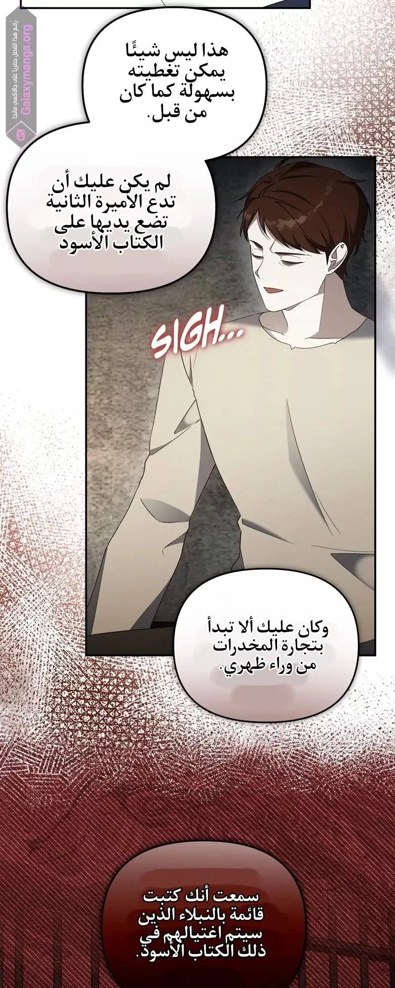 الصفحة 13