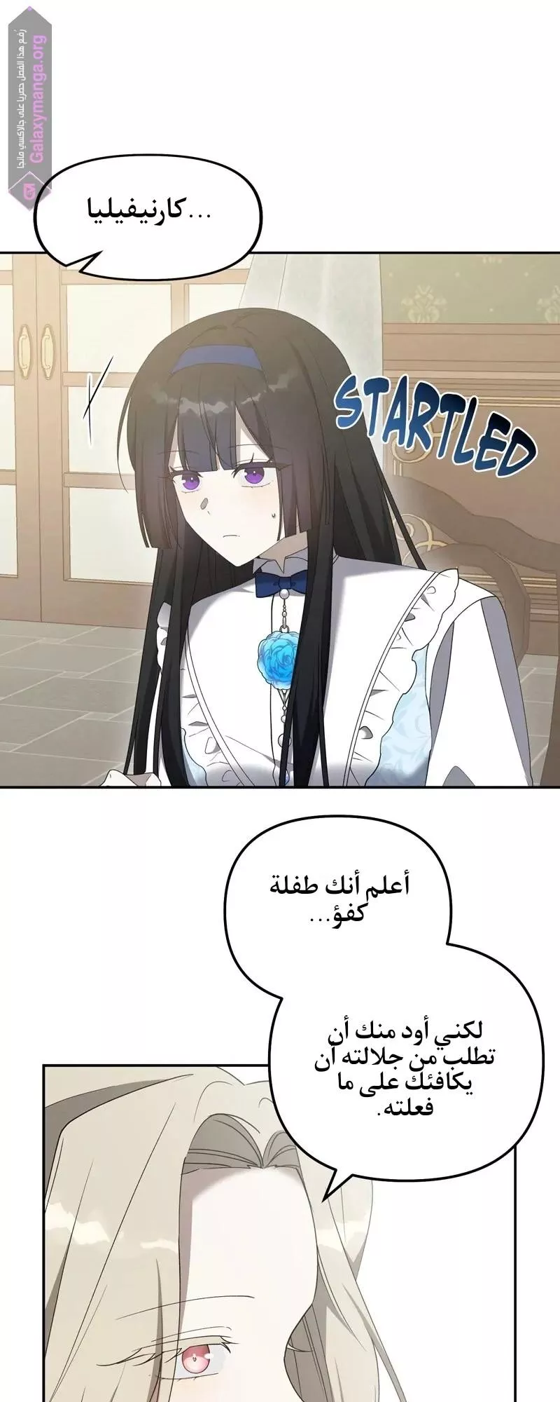 الصفحة 28