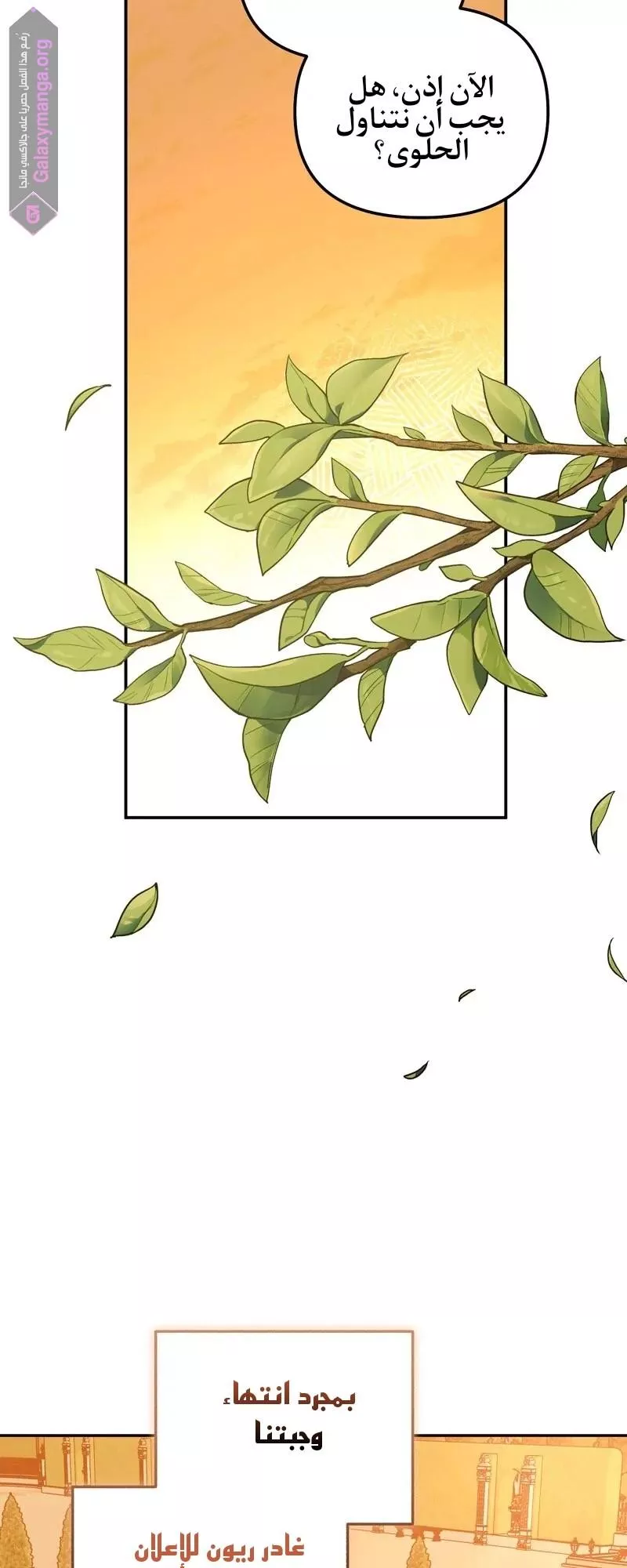 الصفحة 32