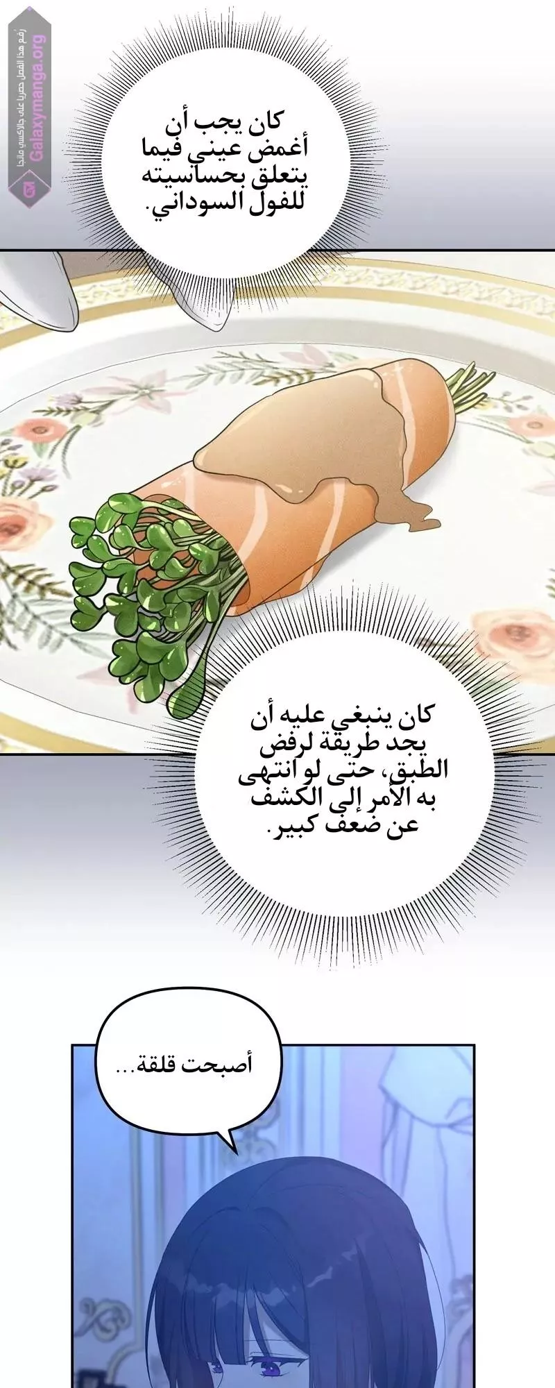 الصفحة 42