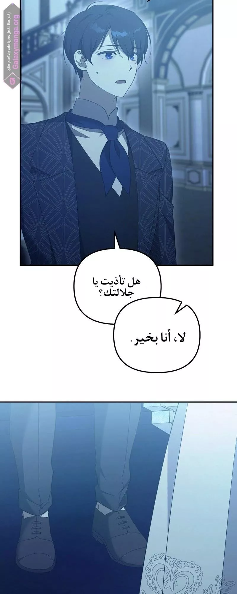 الصفحة 13