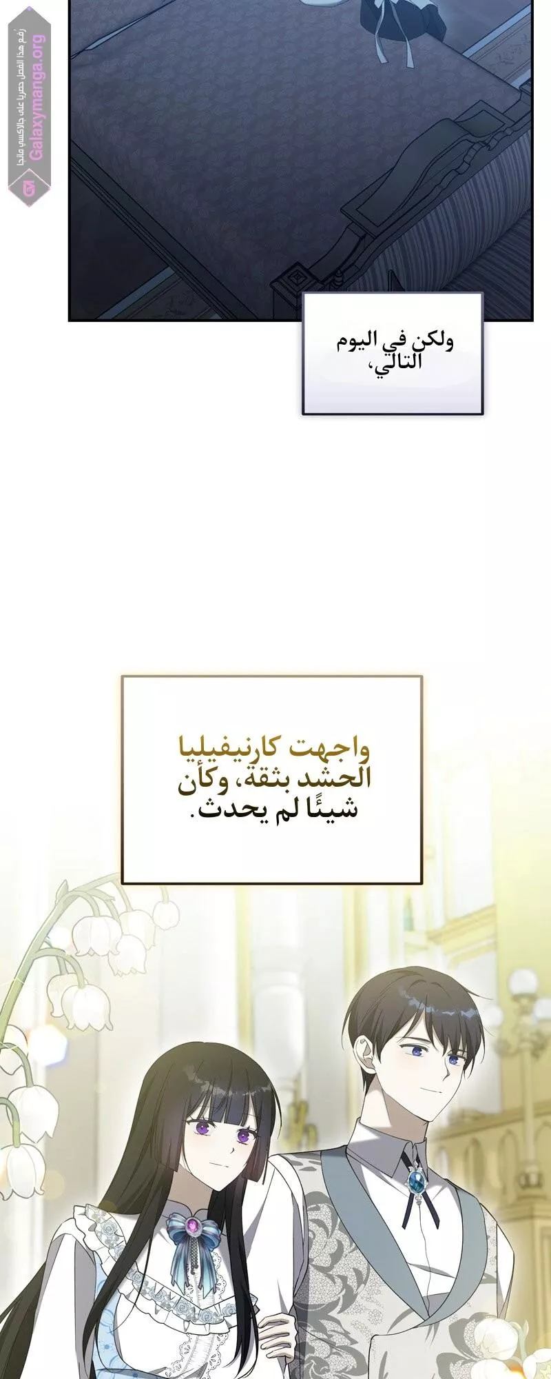 الصفحة 20