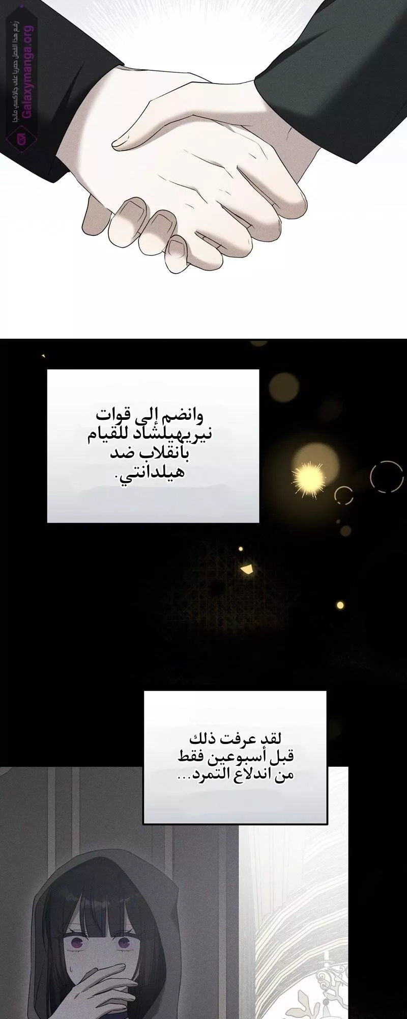 الصفحة 5