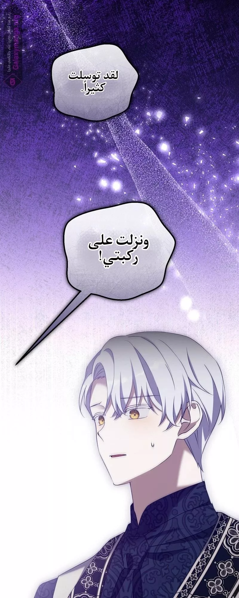 الصفحة 52