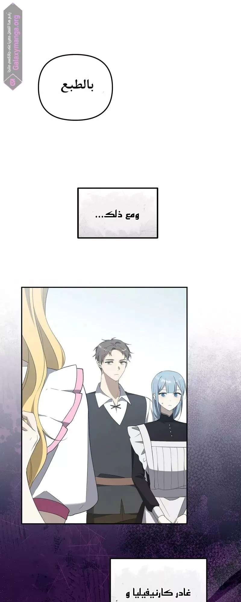 الصفحة 29