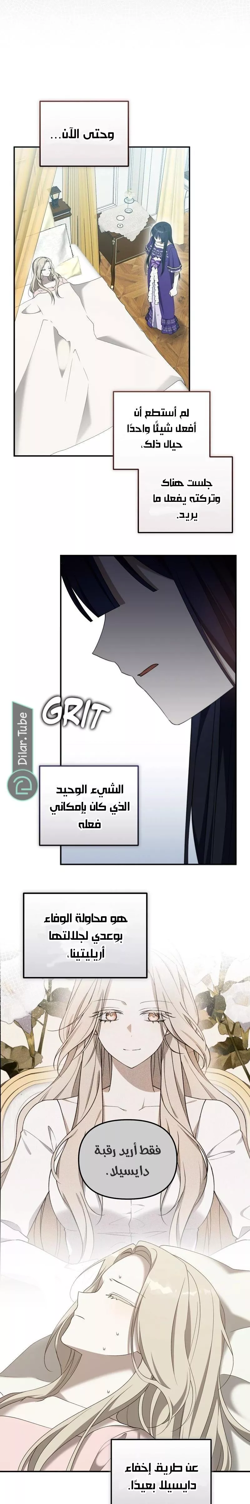 الصفحة 17