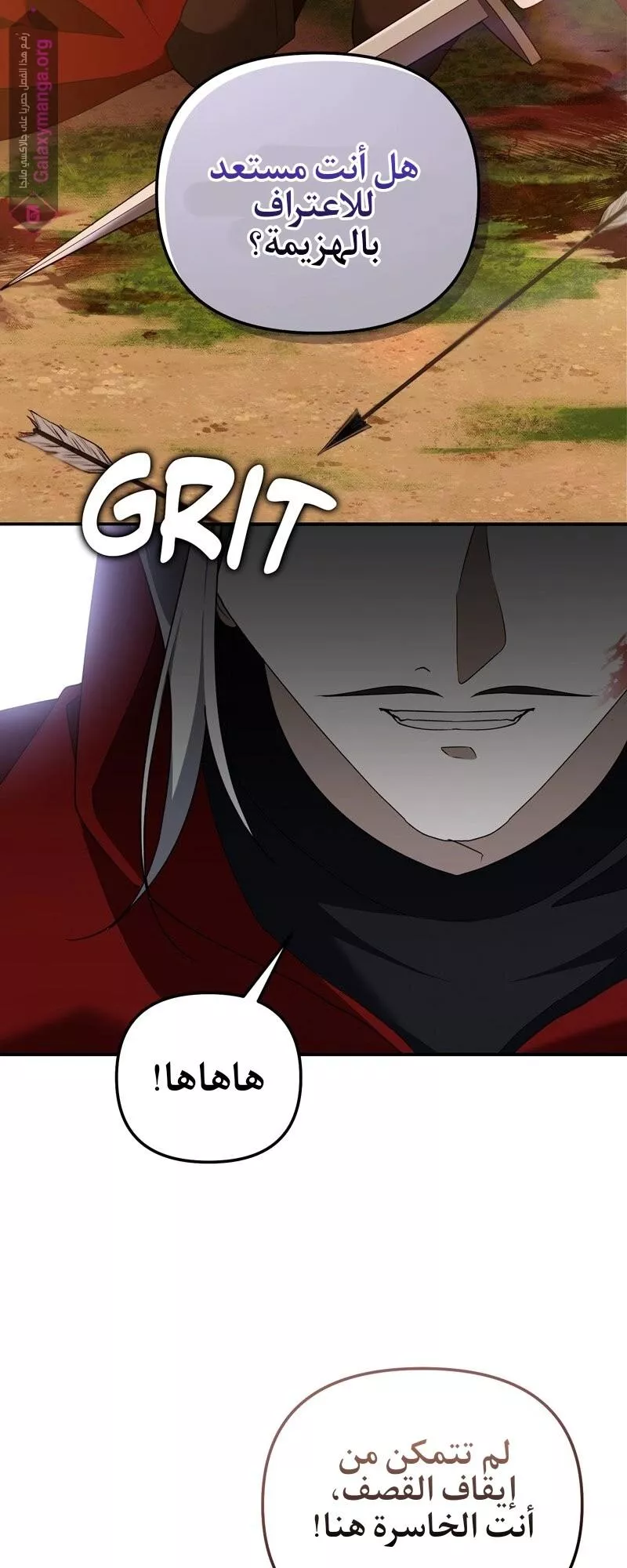 الصفحة 12
