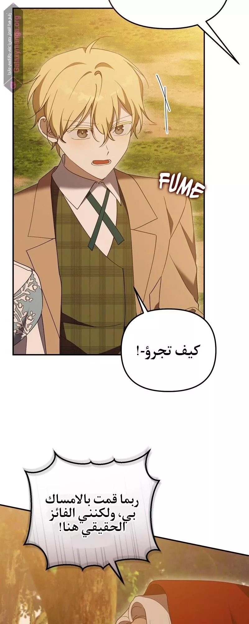 الصفحة 13