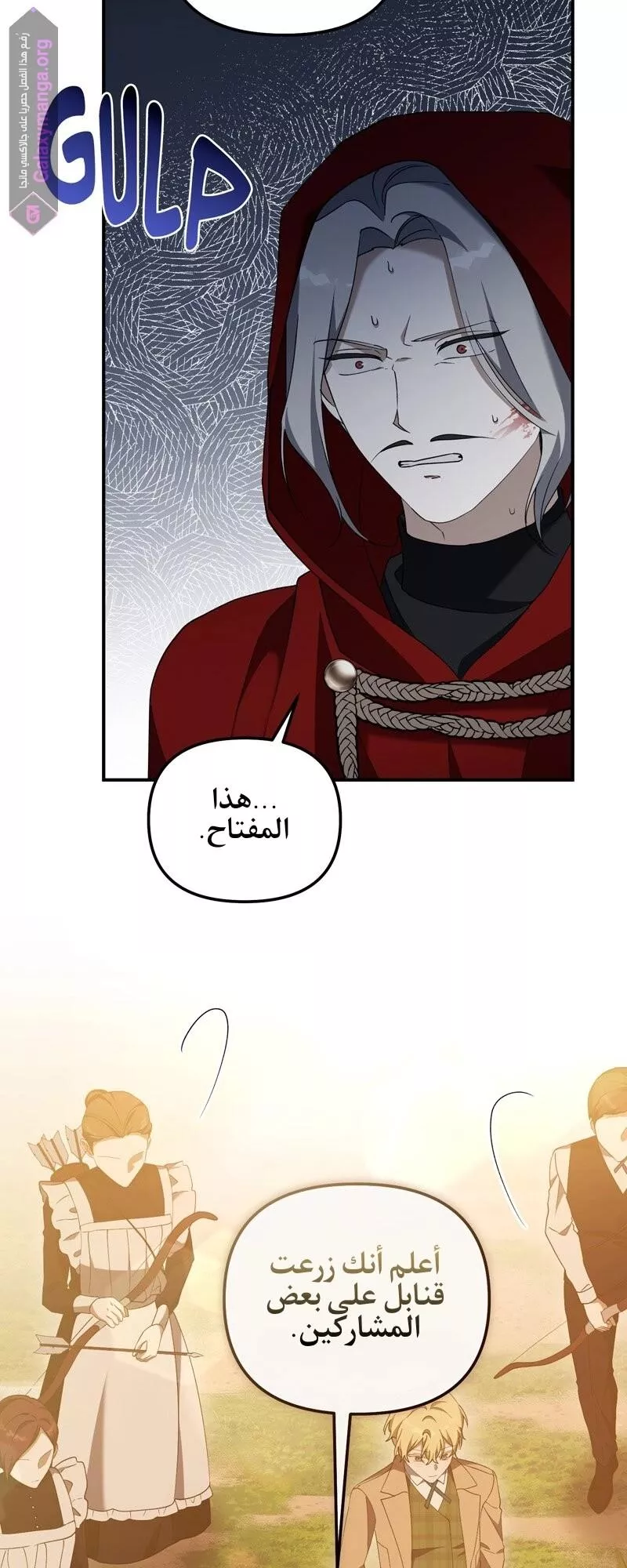 الصفحة 17