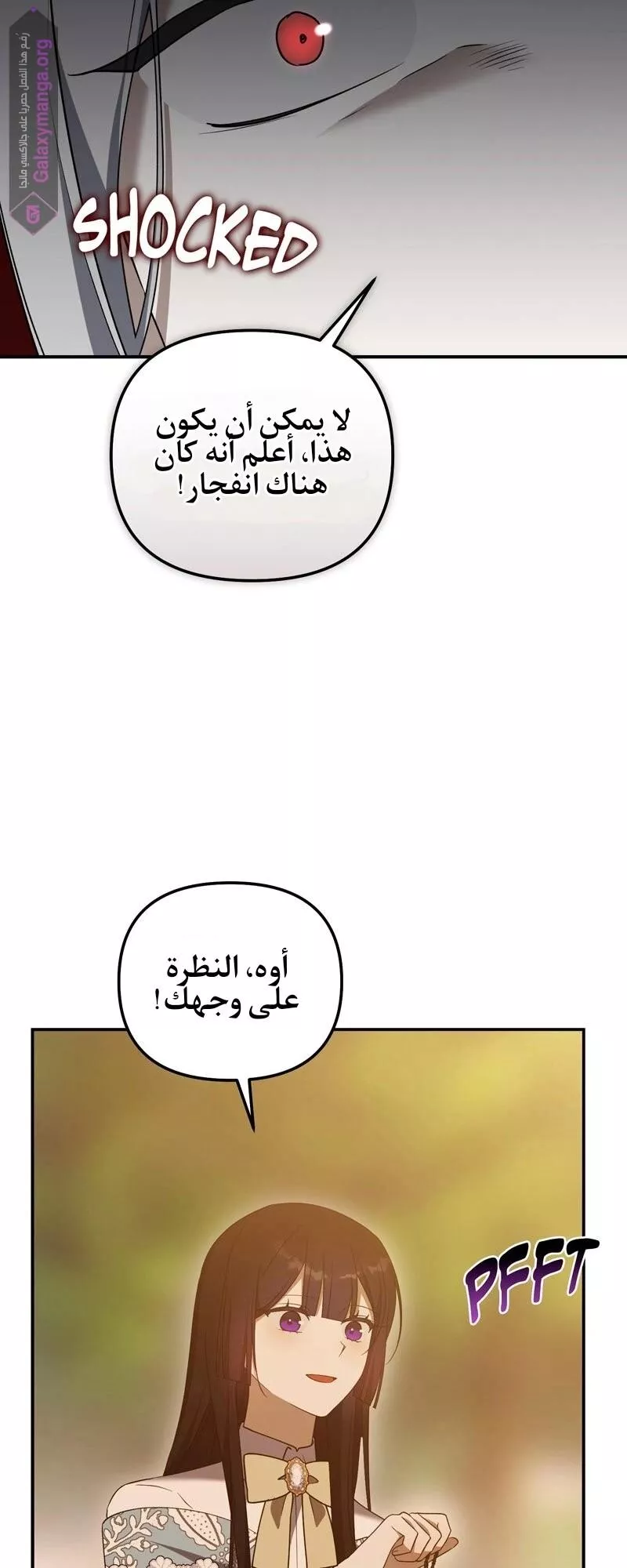 الصفحة 19