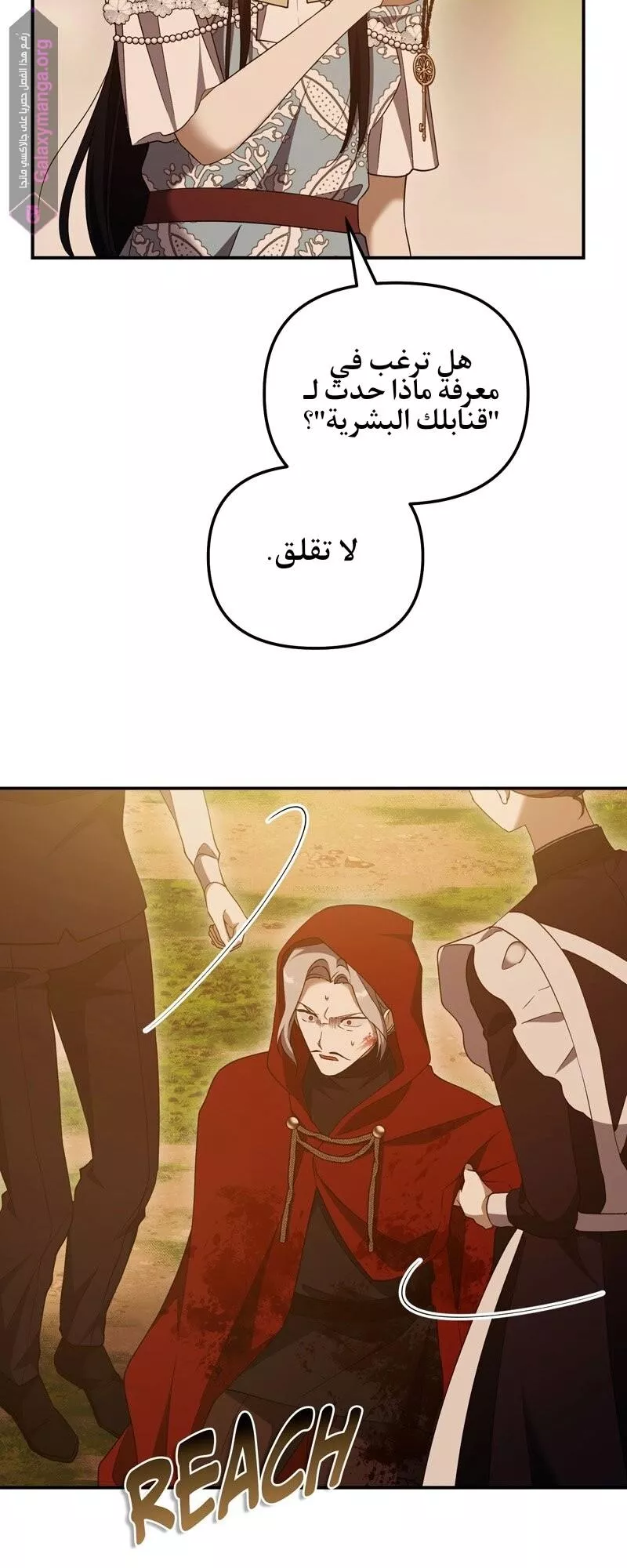 الصفحة 20