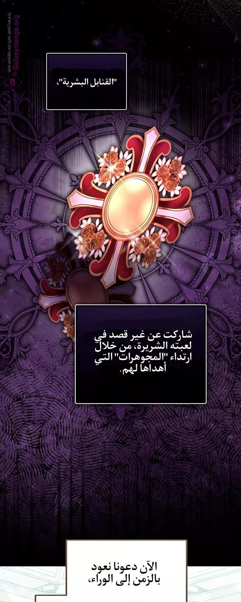 الصفحة 24