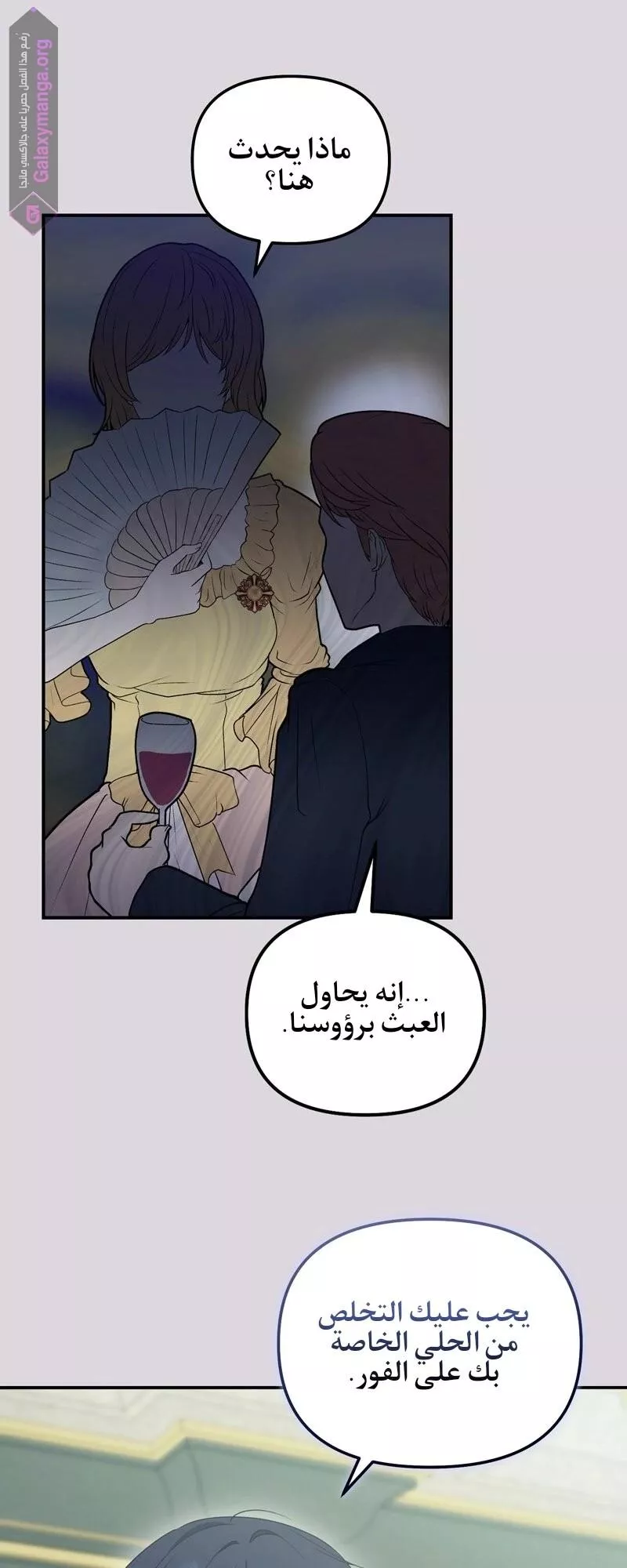 الصفحة 29
