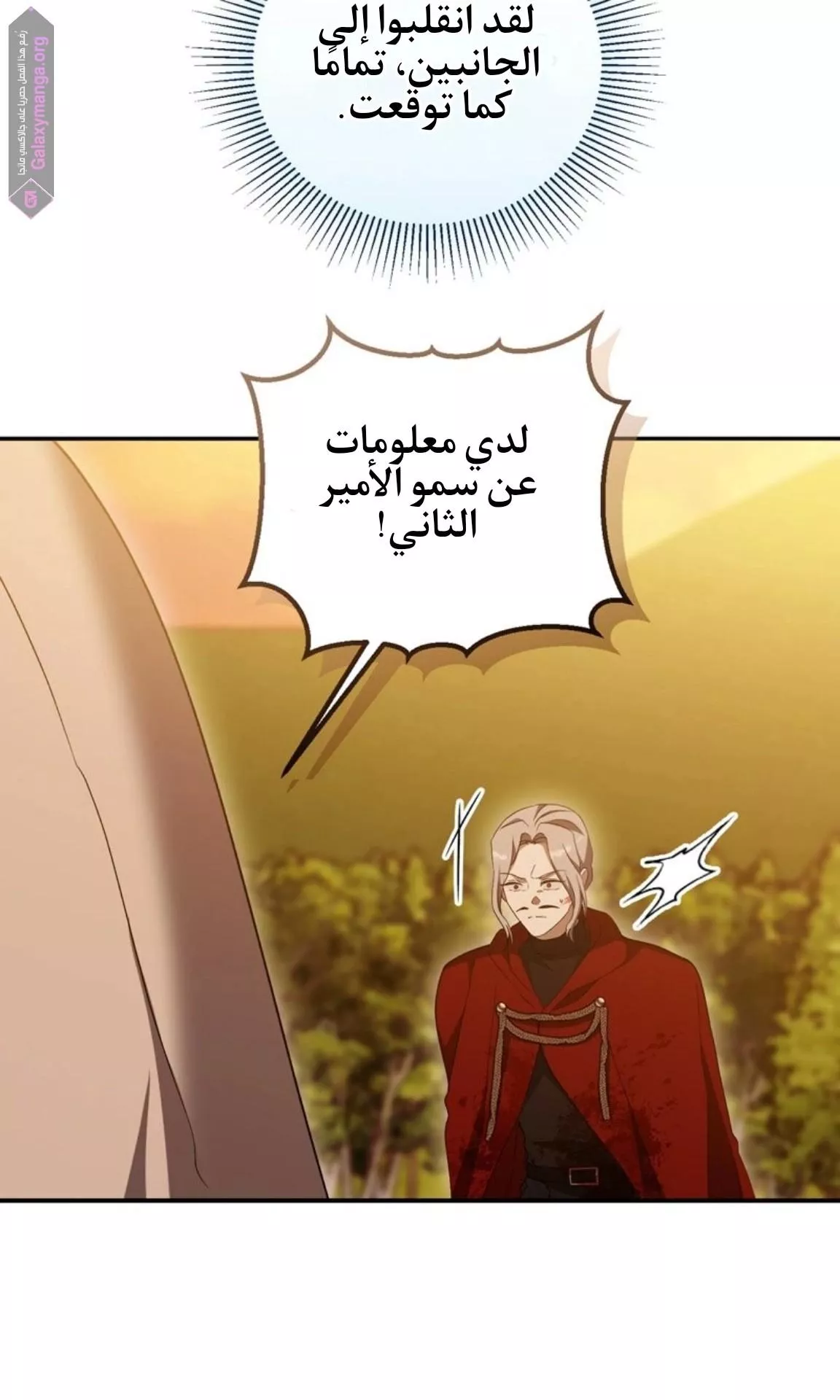 الصفحة 42