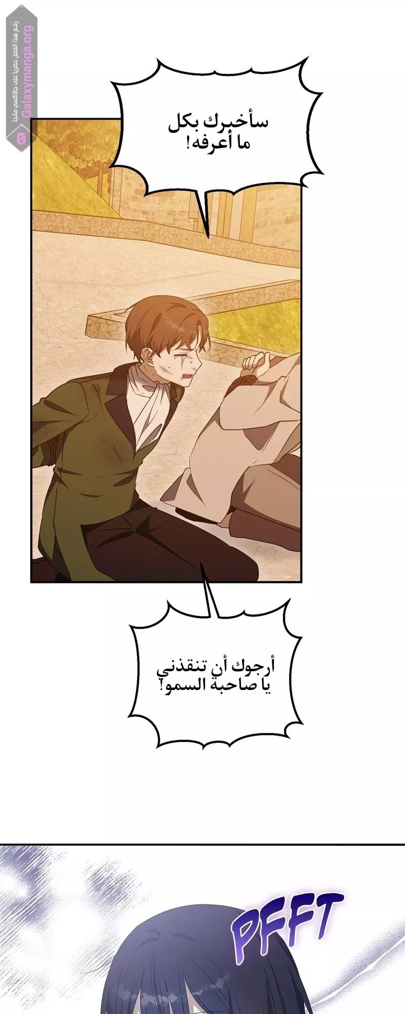 الصفحة 43