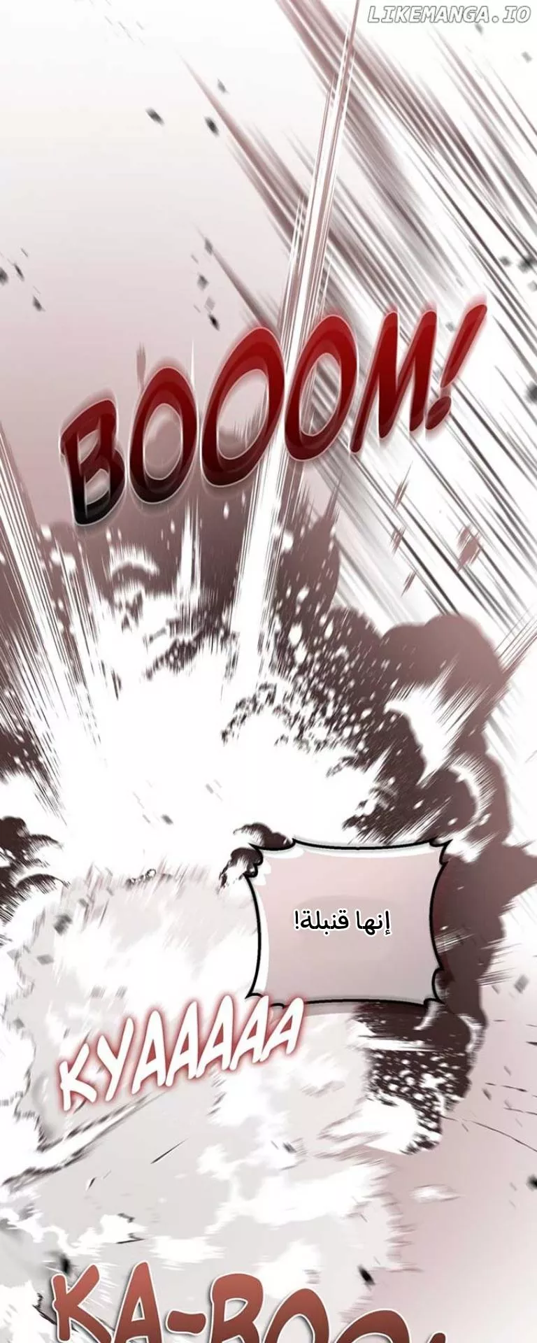 الصفحة 43