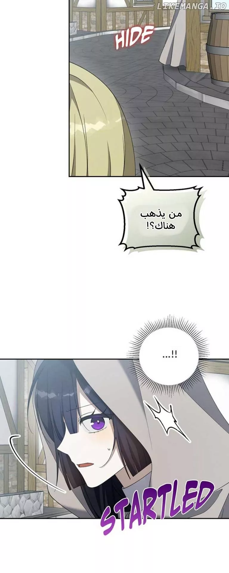 الصفحة 48