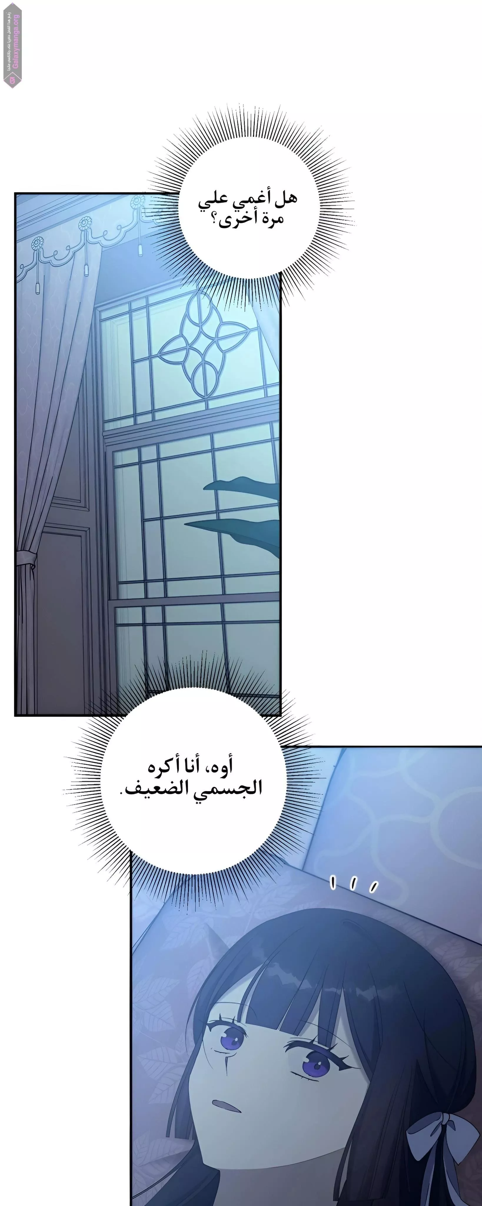 الصفحة 17