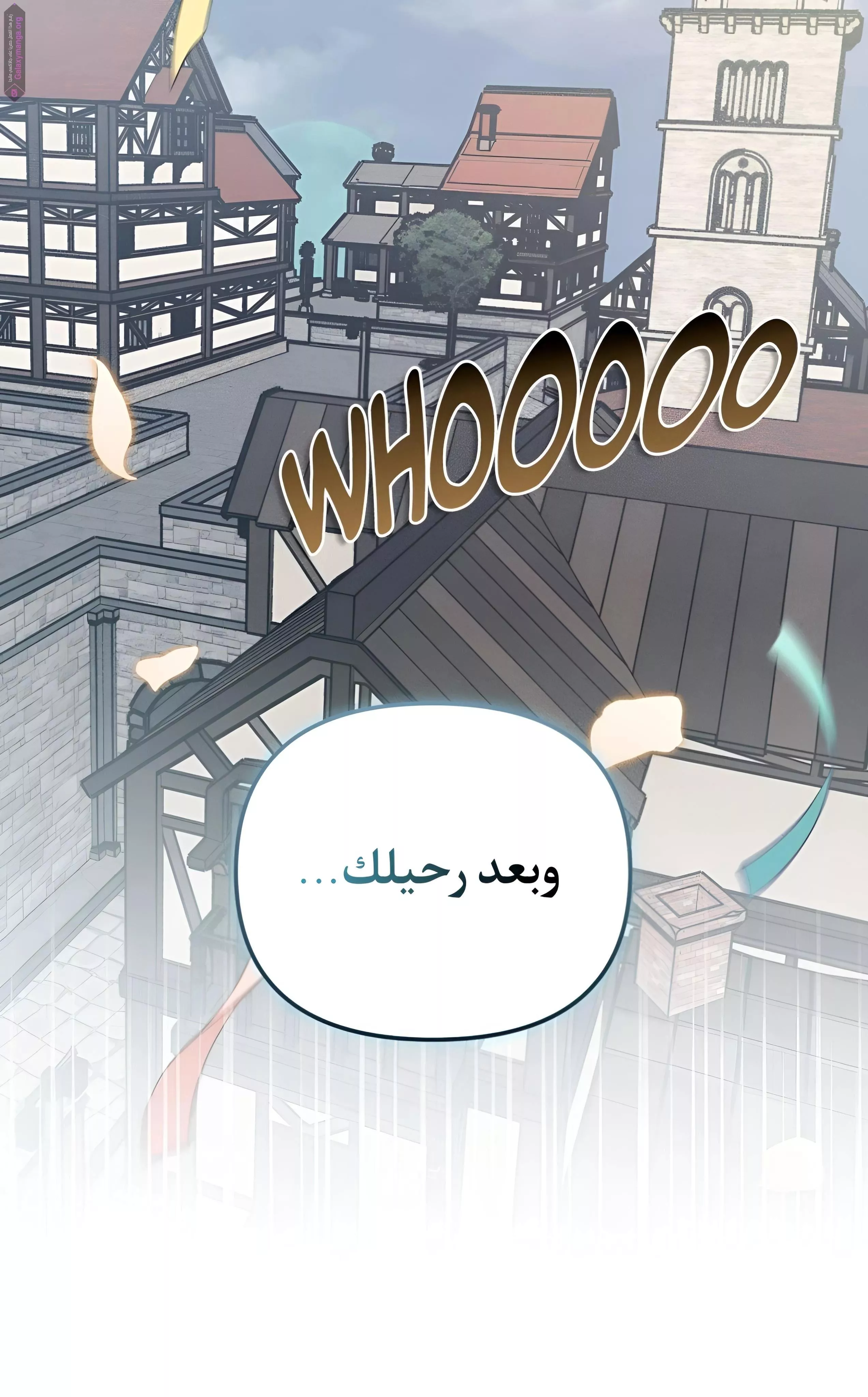 الصفحة 30