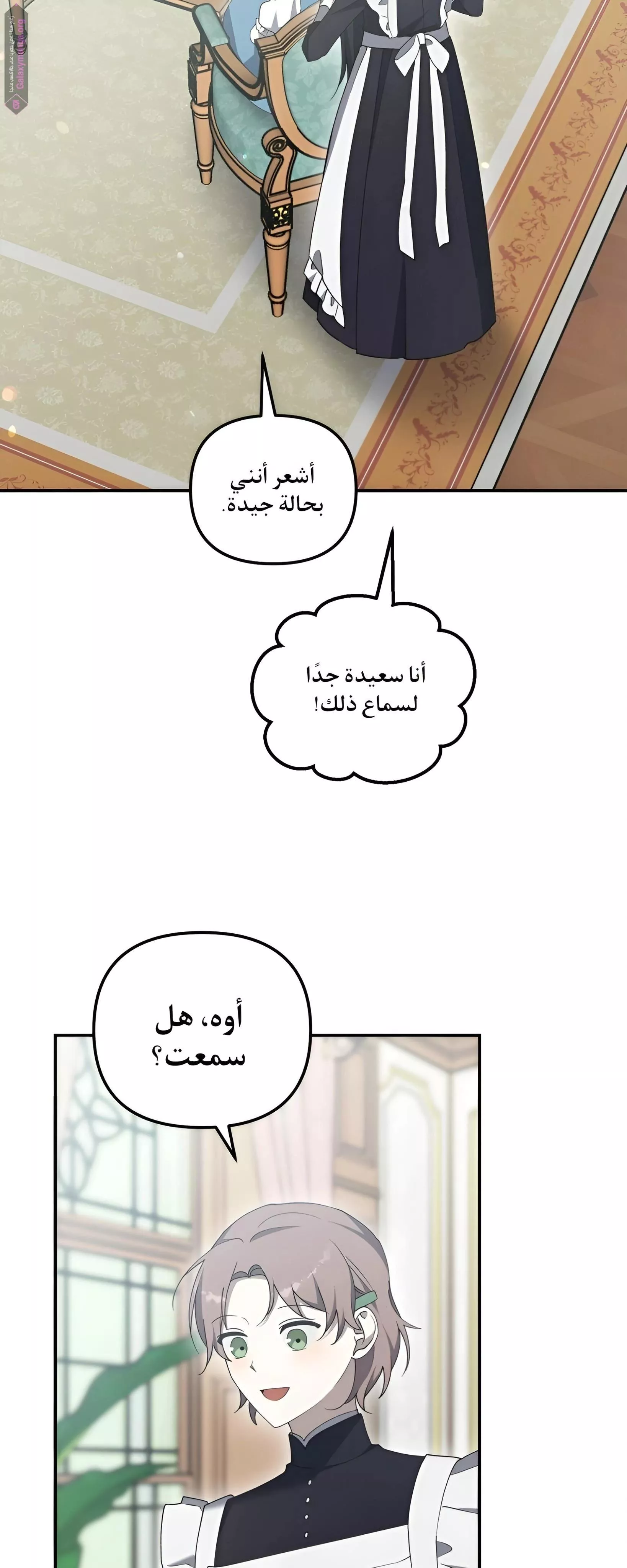 الصفحة 39