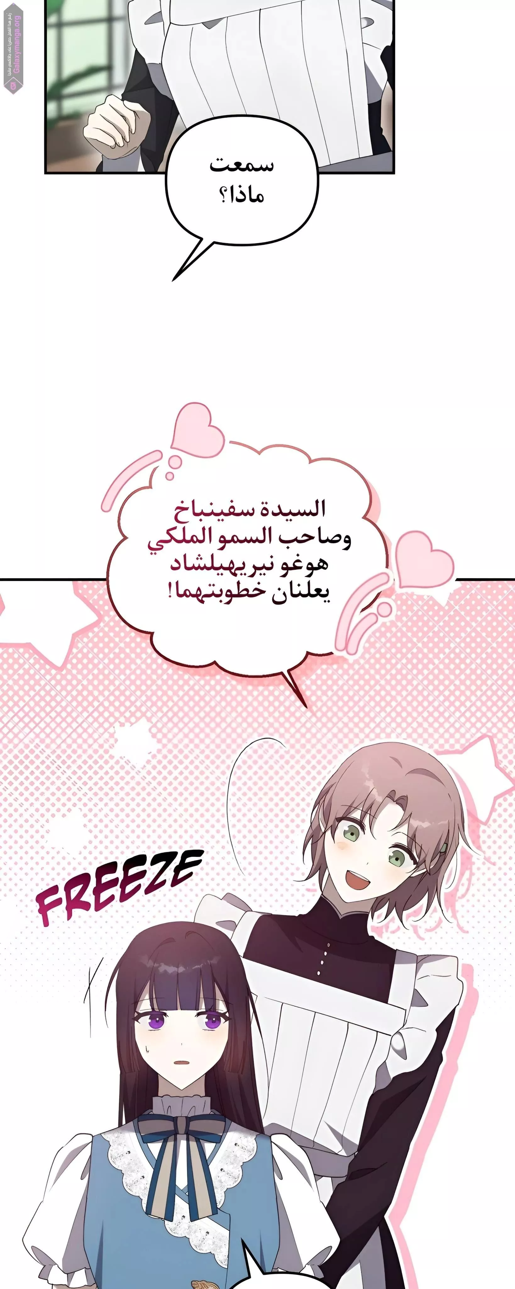 الصفحة 40