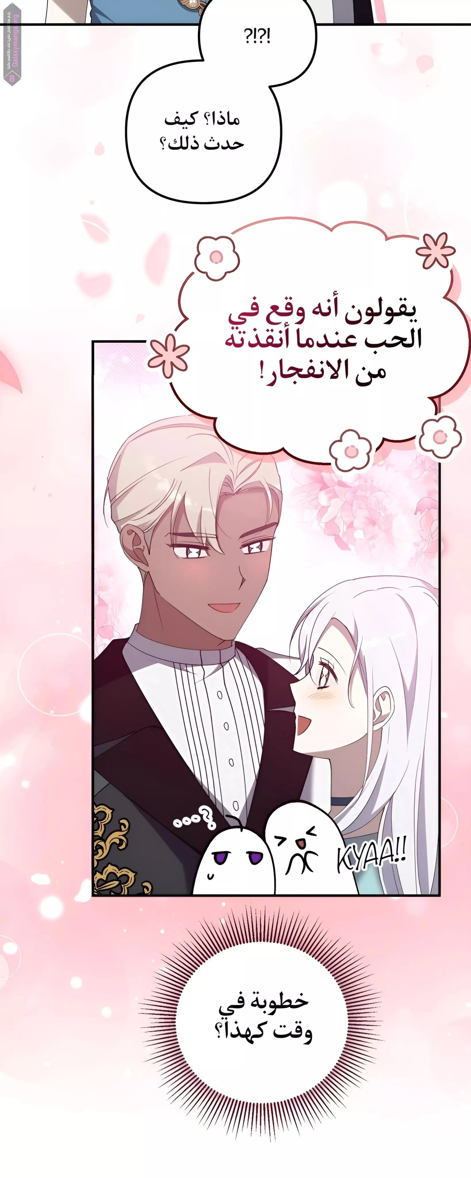الصفحة 41