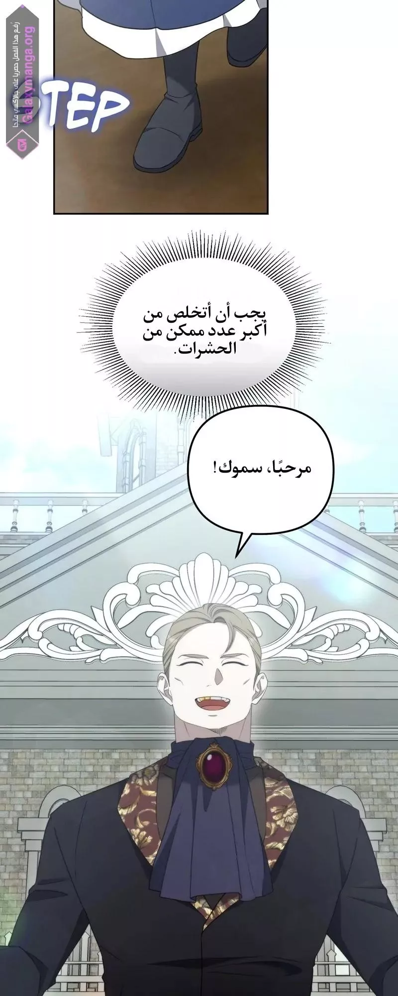 الصفحة 17