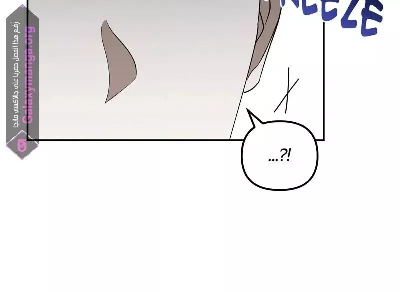الصفحة 25