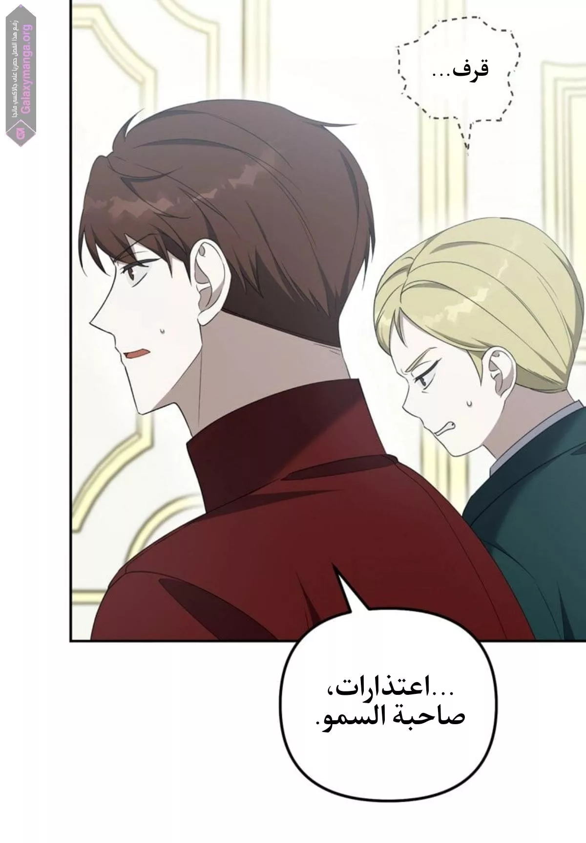 الصفحة 20
