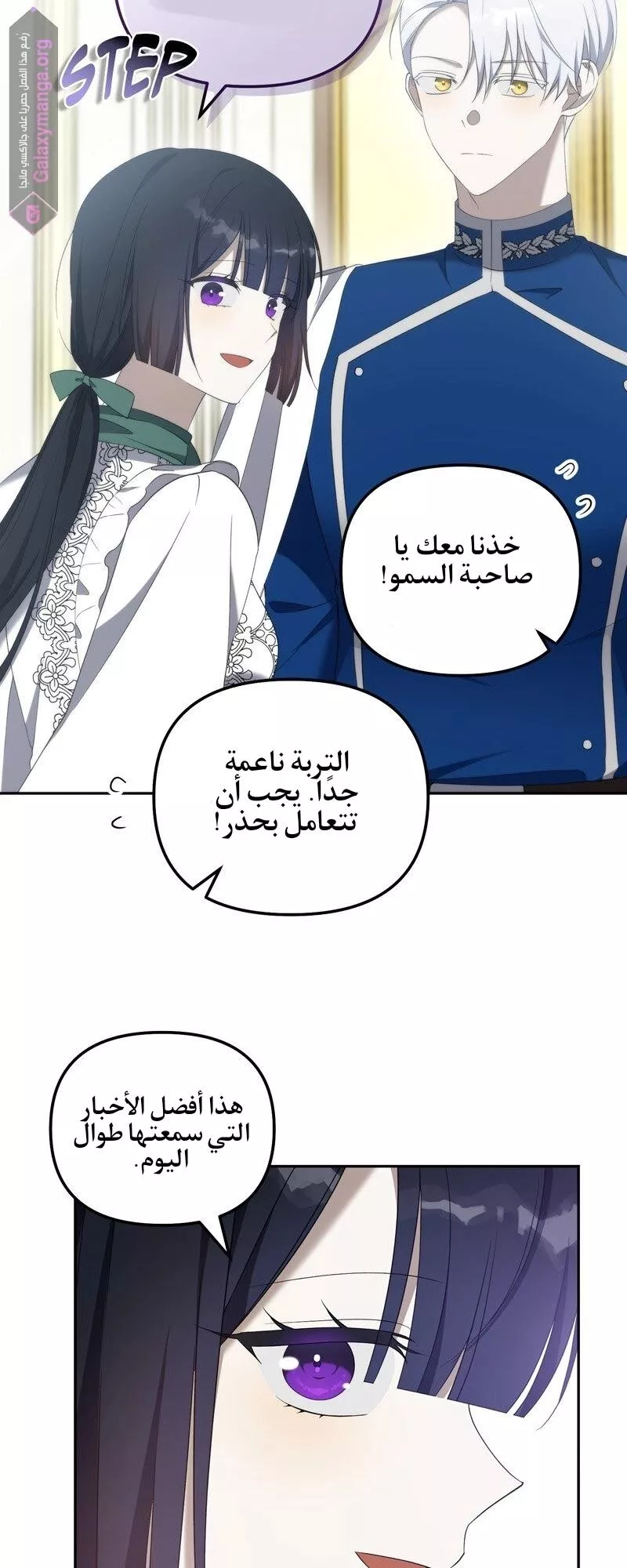 الصفحة 31